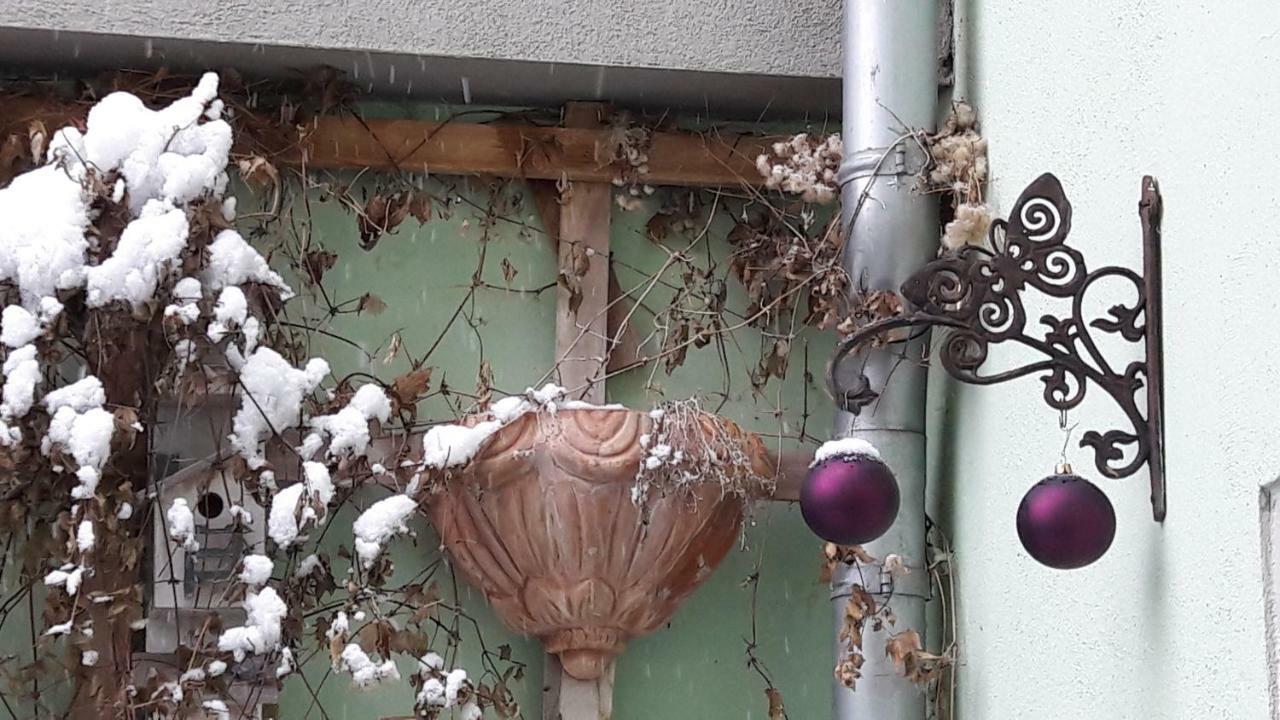 Zum Kleinen Riesen Apartment Ерфурт Екстериор снимка